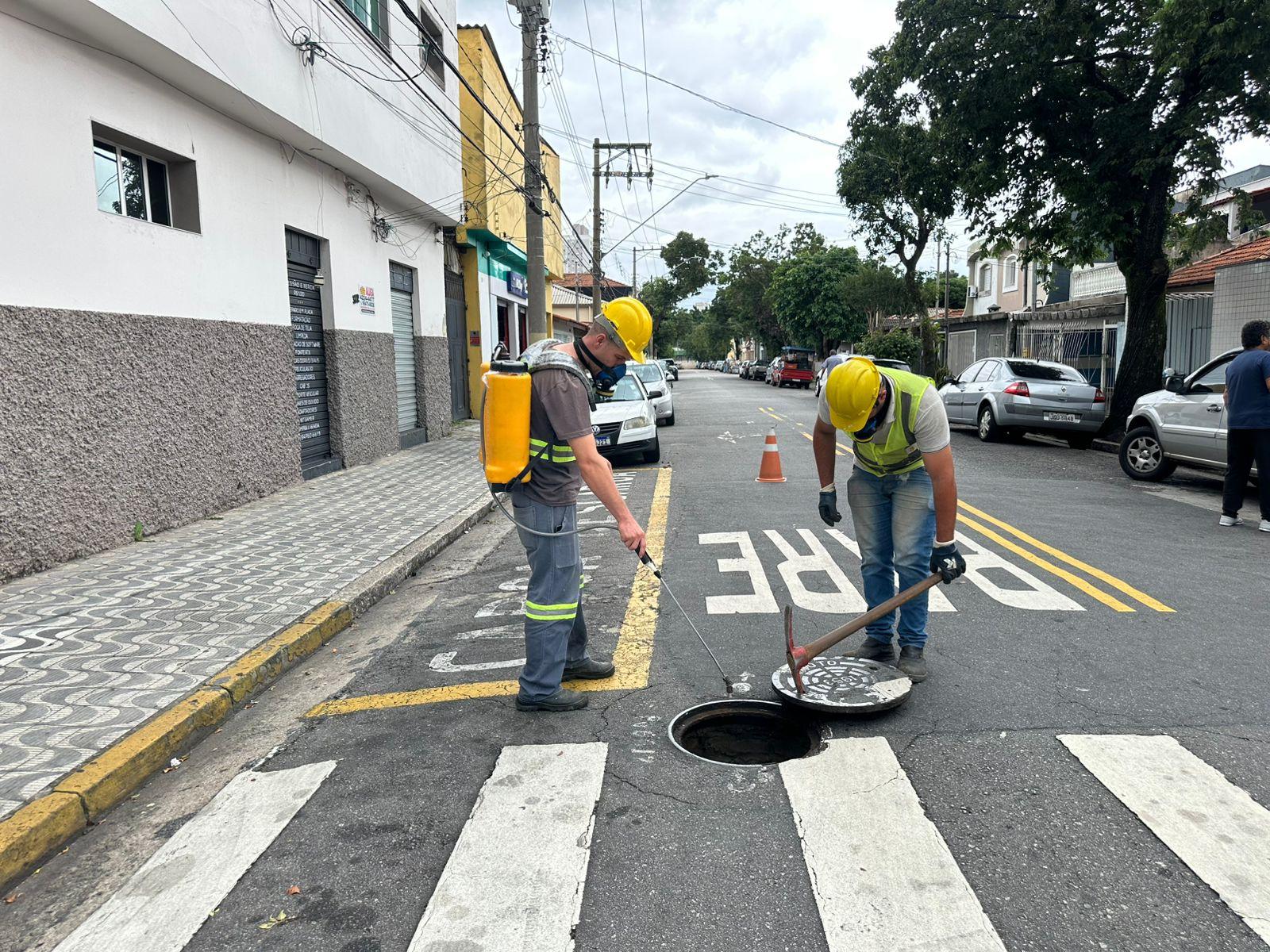 1° ciclo desinsetização 2026